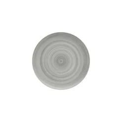 Artis Grey Modern Rustic Flat Coupe Plate - 10.2" (26cm) (Box Of 12)
