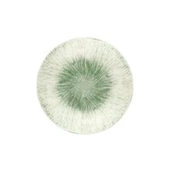 In Situ Axone Flat Plate 27cm / 10/6" (Box Of 6)